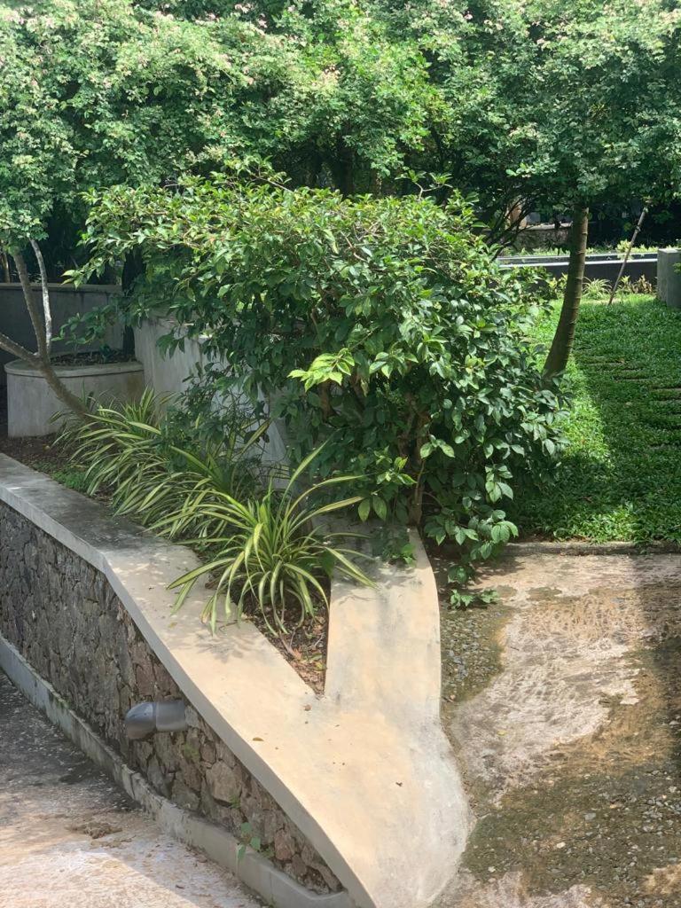 Villa Peace Heaven 高尔 外观 照片